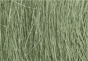 WFG174 Medium Green Field Grass