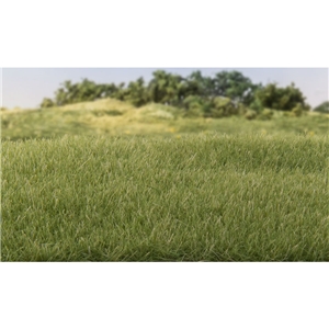 WG6572 4 mm Medium Green Static Grass