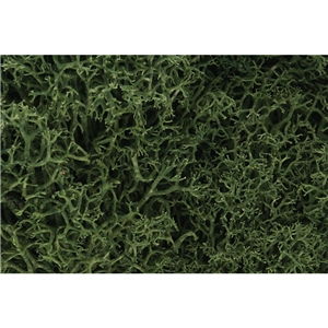 WL163 Medium Green Lichen