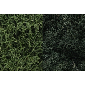 WL168 Dark Green Mix Lichen
