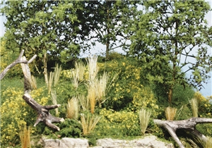 WLK956 Scenery Details Learning Kit