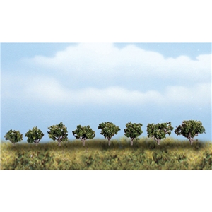 WSP4148 Mini Deciduous Trees