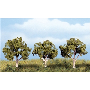 WSP4149 Large Deciduous Trees