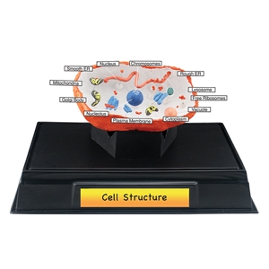 WSP4253 Cell Structure Class Pack