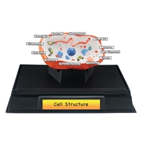 Cell Structure Class Pack