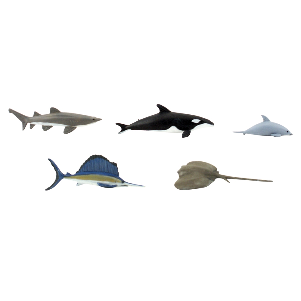 Marine Life