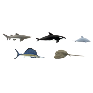 WSP4447 Marine Life