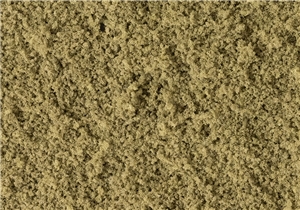 WT60 Earth Coarse Turf