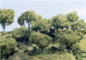 2"-4" Hardwood Forest (24/Kit)