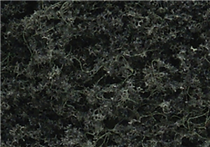 WTR1104