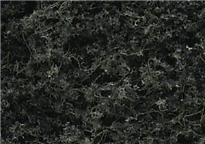 WTR1105