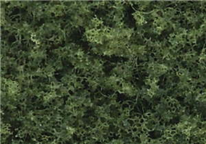 WTR1111