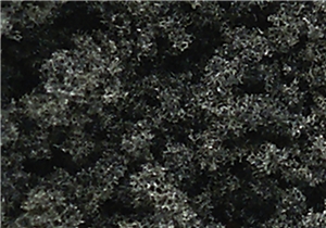 WTR1113