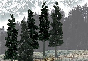6"-8" Ready Made Pine Value Pack (12/Pk)