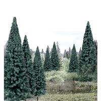 4"-6" Ready Made Blue Spruce Value Pack (13/Pk)