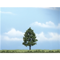 4" Premium Sweetgum (1/Pk)