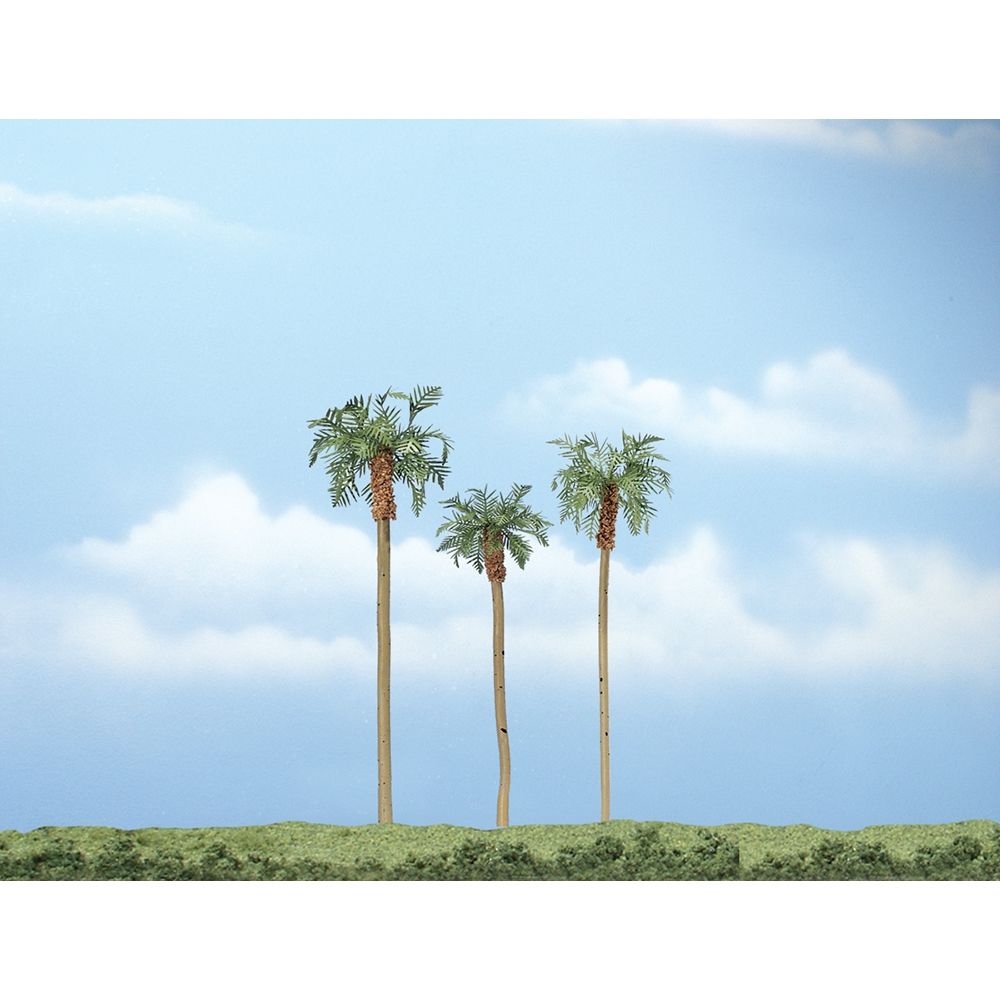 3"-4½" Premium Royal Palm (3/Pk)
