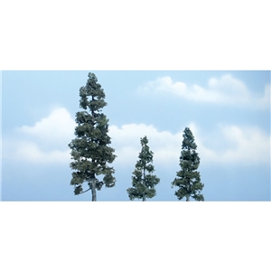 WTR1619 2½"-5 1/8" Premium Juniper  3 Pack