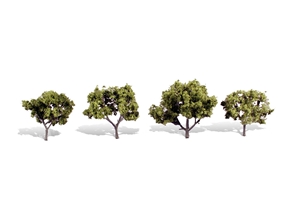 2"-3" Classic Early Light (4/Pk)