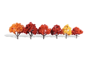 3"-5" Classic Harvest Blaze (6/Pk)