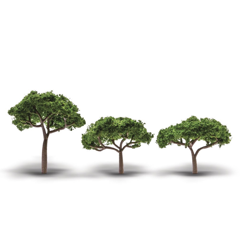 2.3"-3.3" Canopy Trees 3/Pkg