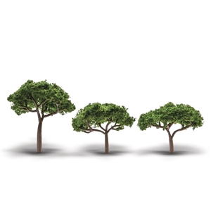 WTR3555 2.3"-3.3" Canopy Trees 3/Pkg