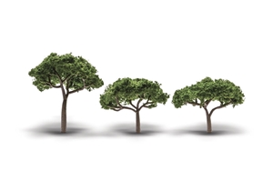 2.3"-3.3" Canopy Trees 3/Pkg